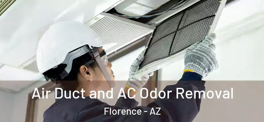 Air Duct and AC Odor Removal Florence - AZ