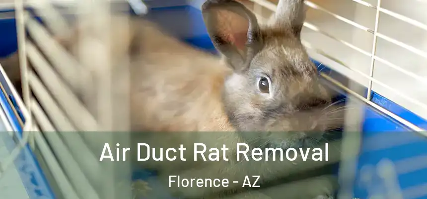  Air Duct Rat Removal Florence - AZ