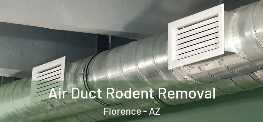  Air Duct Rodent Removal Florence - AZ