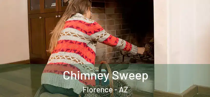 Chimney Sweep Florence - AZ