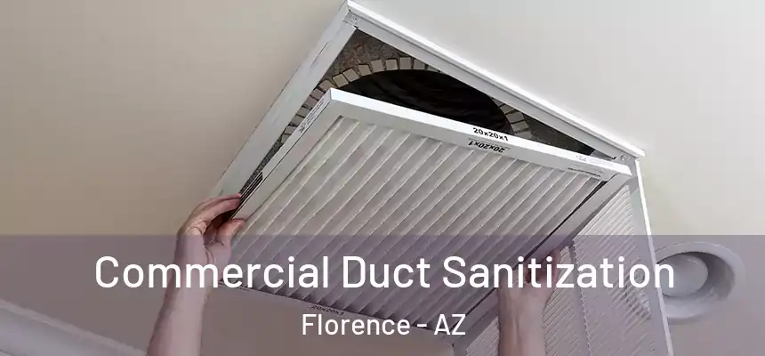 Commercial Duct Sanitization Florence - AZ