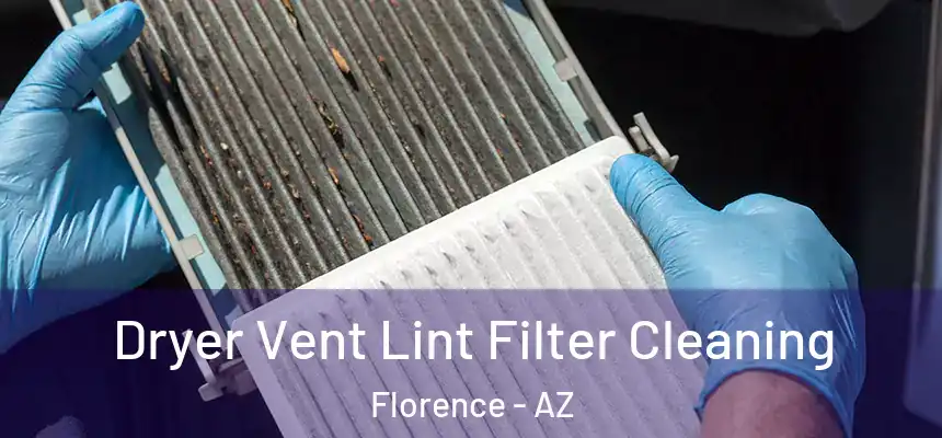  Dryer Vent Lint Filter Cleaning Florence - AZ