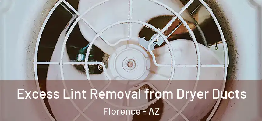  Excess Lint Removal from Dryer Ducts Florence - AZ