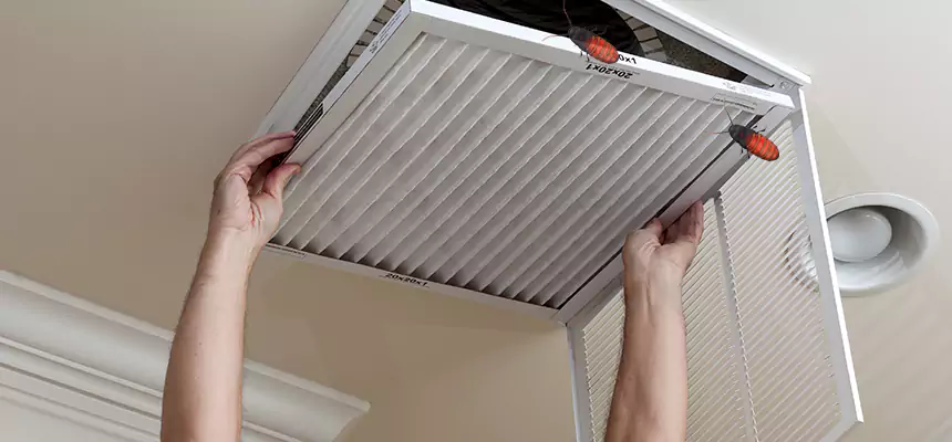 Our Insect Removal from Air Ducts Services in Florence, AZ