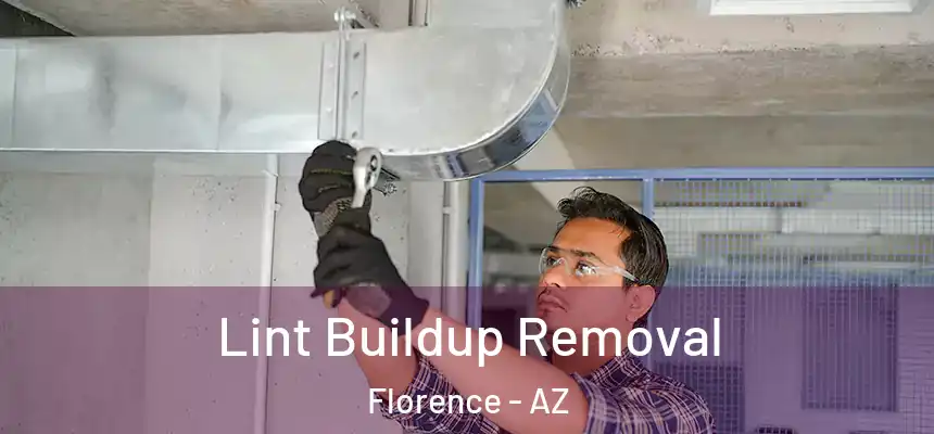  Lint Buildup Removal Florence - AZ