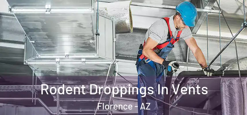  Rodent Droppings In Vents Florence - AZ