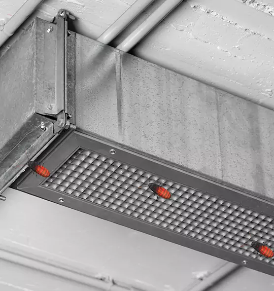 Affordable Insect Removal from Air Ducts in Florence, AZ
