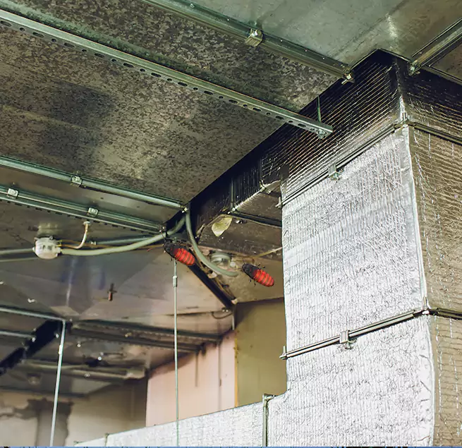 Why Homeowners & Businesses Trust Us in Florence, AZ?