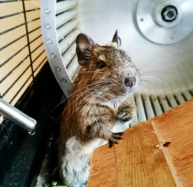 Why Homeowners & Businesses Trust Us Florence, AZ?